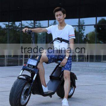 2017 800w 2 wheel electric citycoco scooter citycoco