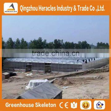 Top Sale Trade Assurance Polycarbonate Agricultural Greenhouse From China Supplier photo-5