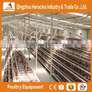 Hot Selling Asia Chicken Cage for Sale Automatic Chicken Layer Cage for Sale in Philippines photo-3