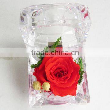 Fashionable And Natural Real Rose Preserved Flowers Wholesale With Acrylic Ring Box Decoration photo-3