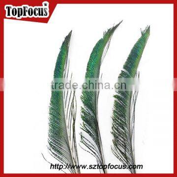 Wedding Dresses Decoration Indian Wholesale Natural Peacock Feather
