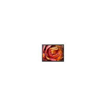 Color TFT VGA Touch LCD Monitor With Resolution 1280X1024 19 Inch Resistive