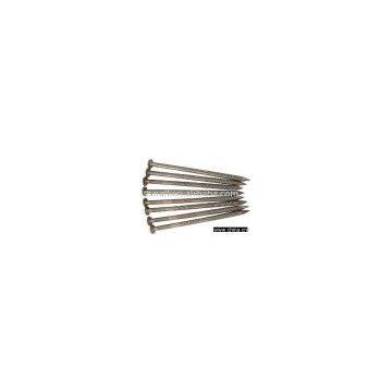 Stainless Steel Spiral  Nail