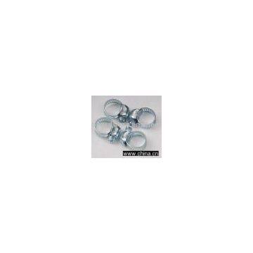 Hose Clamp