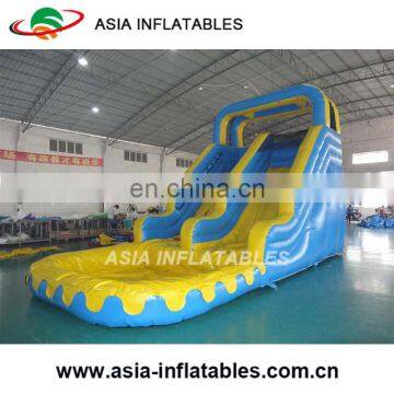 Giant Inflatable Water Slide For Adult, Commercial Inflatable Water Slide, Water Slides For Sale