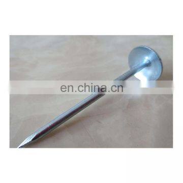 Galvanized Umbrella Head Corrugated Roofing Nails