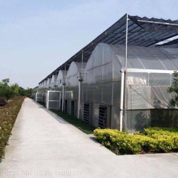 Multi Span PE Film Agricultural Greenhouse