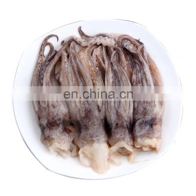 Hot sale BQF frozen squid tentacle for export