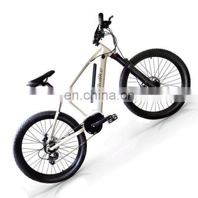 Hotselling 26inch Alloy Frame Electric Bicycle Beach Ebike 36v 250w Electric Mountain Bike