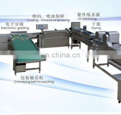 Full Automatic Egg Cleaning and Sorting Packing Line Production Line Processing Line photo-4