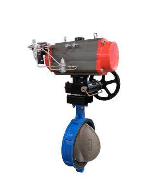 Batterfly Valve Rubber Line photo-2