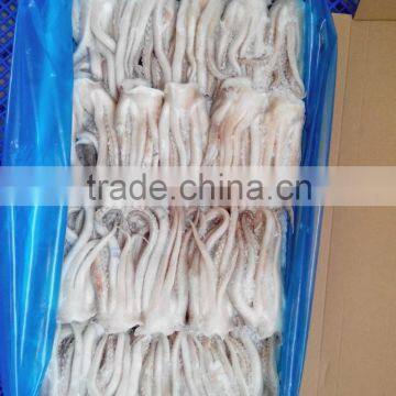 WR Frozen Illex Squid - Whole, Tube, Rings and Tentacles photo-6