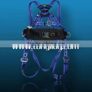 Full body harness with waist support