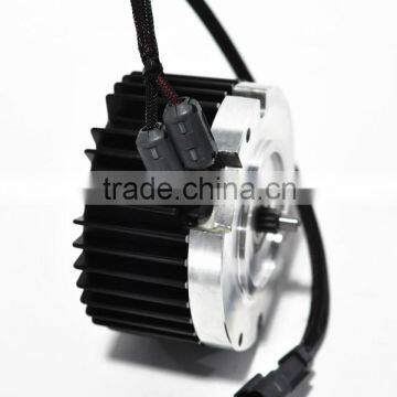 Mac Motor DC brushless for lawn mower motor