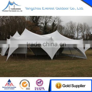 Professional Manufacturer Party Wedding Stretch Tents