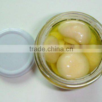 mushroom in jar