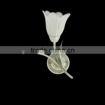 Copper wall lamps glass Wall Light & Modern Wall Light & Indoor Wall Light/8261/1W
