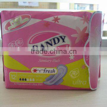 bio ladies sanitary pads factory