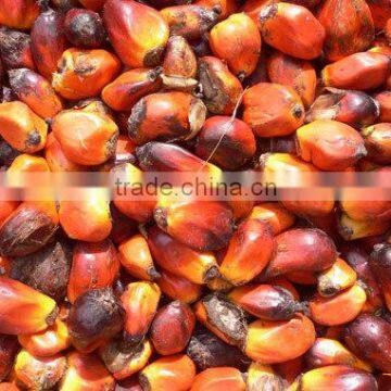 Refined Palm Oil (Ukrain)