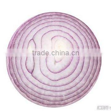 Onion export to Malaysia/fresh onion