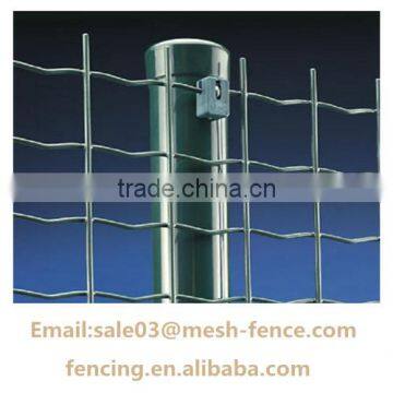 HOLLAND WIRE MESH PVC COATED WELDED EURO FENCE