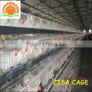 4 tiers chicken egg layer cages for sale