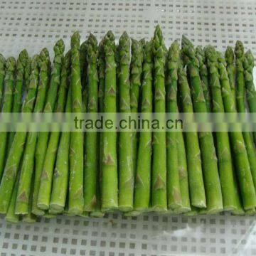 IQF FROZEN GREEN ASPARAGUS WHOLE AND CUTTED