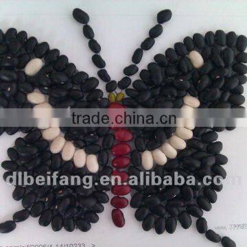 Black Bean/Black Kidney Beans( New crop, Heilongjiang origin, HPS)