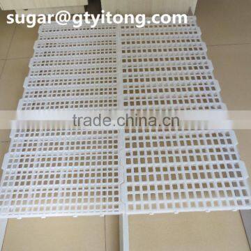 pure plastic poultry floors for poultry farm