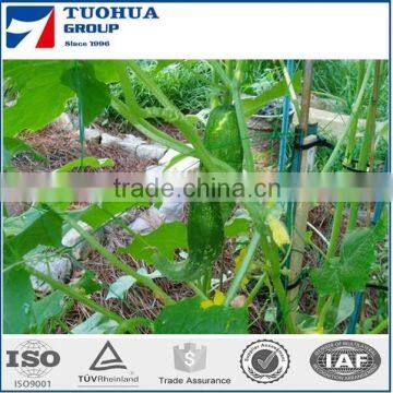 Green Vegetable Climbing Netting Supplier