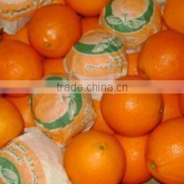 fresh navel orange