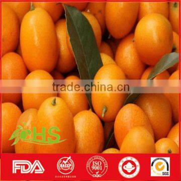Dried Kumquat Fruit With Best Quality and Price photo-6