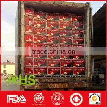 Chinese Shandong Fresh Fuji Apples for Export photo-4