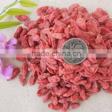 New Arrived Ningxia Goji Berry 280