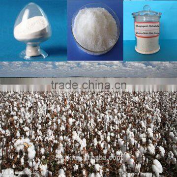 Agrochemical Plant Growth Regulator Mepiquat Chloride photo-3