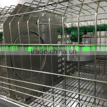 Cage For Sale (Female and Baby Rabbits/Commercial Rabbits)Rabbit Farming Cage, Industrial Cage for Rabbit ,Commercial Rabbit Cag photo-3