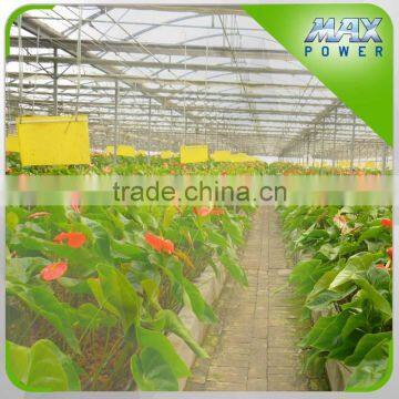 Galvanized Frame Circulation Fan EU Standard photo-5