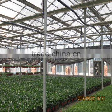 Selected Supplier Plastic Horticultural Green House for Sale photo-2