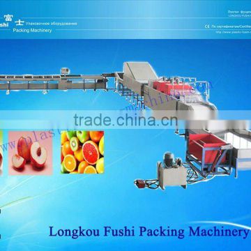 Good Quality Fruit Washing And Drying Waxing Machine