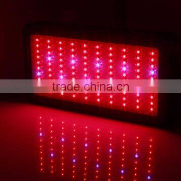 High Quality China Made 300W LED Grow Light photo-3