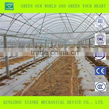 Multi-Span Commercial Polycarbonate Greenhouse for Sale photo-2