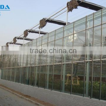 Galvanized Steel Frame Commercial Glass Greenhouse For Sale