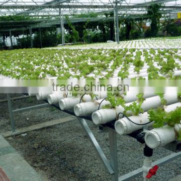 customber design hydroponic system