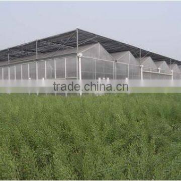 Good performance Low Cost Steel Frame Agricultural Greenhouse