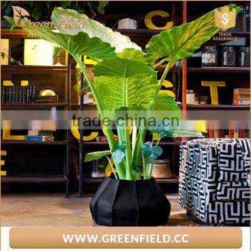 Fabric Polyester Grow Bag, Black Fabric Polyester Grow Bags photo-4
