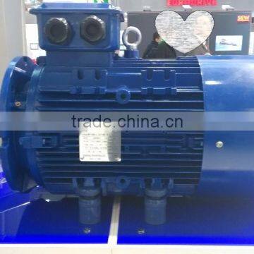 400/600V 18.5kW AC Three Phase IE3 Electric Motor photo-2