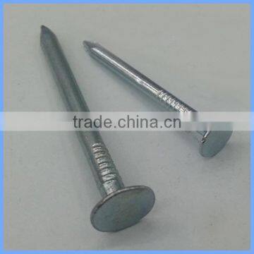 Galvanized Cupper Nails With Factory Price photo-4