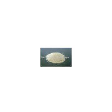 Yeast