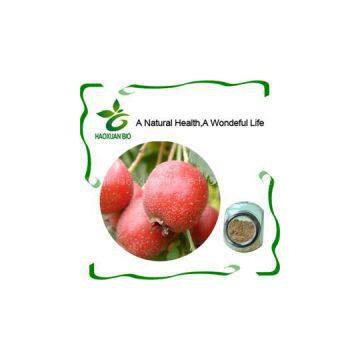 Hawthorn Fruit P.E