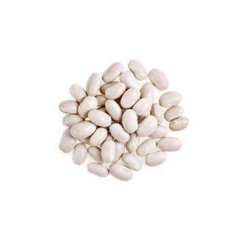 Freeze Dried Haricot